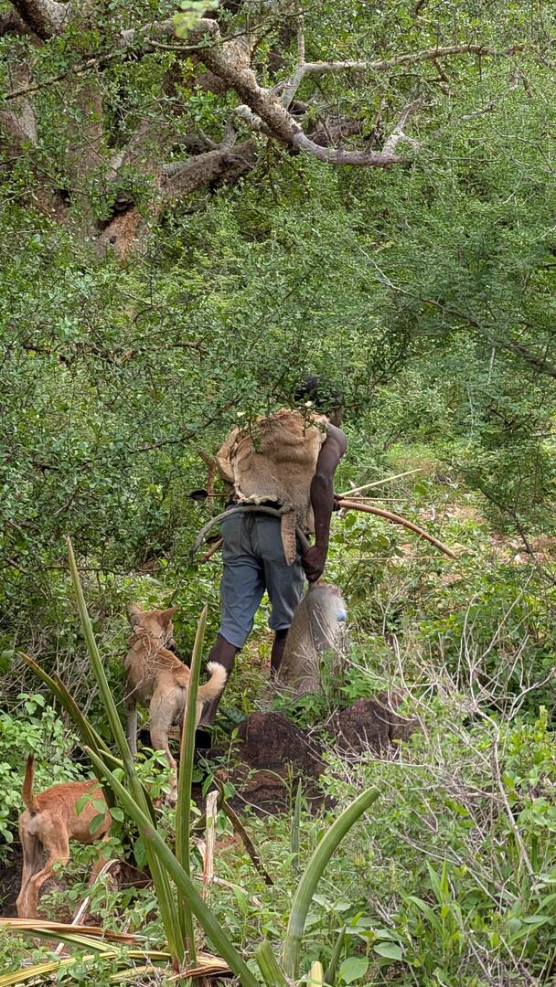 Hadzabe Tribe